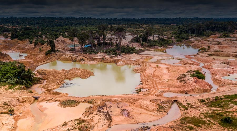 Impacto toxicológico del mercurio en la Amazonía